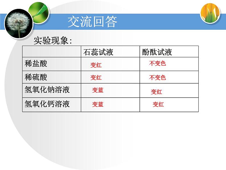 人教版化学九年级下册第10单元《实验活动6 酸、碱的化学性质》PPT课件403