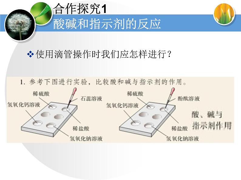 人教版化学九年级下册第10单元《实验活动6 酸、碱的化学性质》PPT课件404