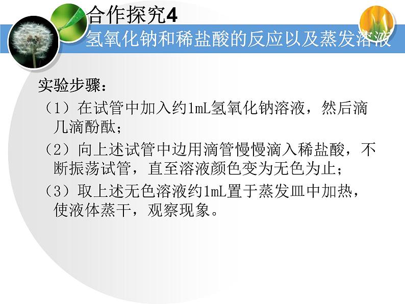 人教版化学九年级下册第10单元《实验活动6 酸、碱的化学性质》PPT课件407