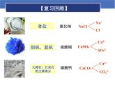 人教版化学九年级下册11.1《生活中常见的盐》PPT课件2
