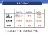 人教版化学九年级下册11.1《生活中常见的盐》PPT课件2