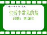 人教版化学九年级下册11.1《生活中常见的盐》PPT课件3