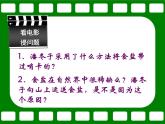 人教版化学九年级下册11.1《生活中常见的盐》PPT课件3