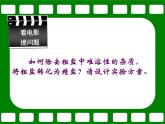 人教版化学九年级下册11.1《生活中常见的盐》PPT课件3