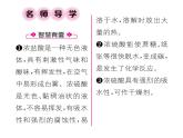 科粵版九年級(jí)化學(xué)下冊(cè)第八章8.2  常見的酸和堿第1課時(shí)  常見的酸課時(shí)訓(xùn)練課件PPT