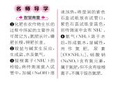 科粤版九年级化学下册第八章8.5  化学肥料课时训练课件PPT