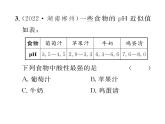 科粵版九年級(jí)化學(xué)下冊(cè)第八章雙休作業(yè)（5）課時(shí)訓(xùn)練課件PPT