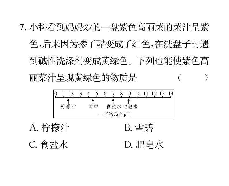 科粤版九年级化学下册第八章双休作业（5）课时训练课件PPT第6页