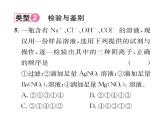 科粵版九年級(jí)化學(xué)下冊(cè)第八章小專(zhuān)題5  物質(zhì)的共存、檢驗(yàn)與鑒別、分離與除雜課時(shí)訓(xùn)練課件PPT