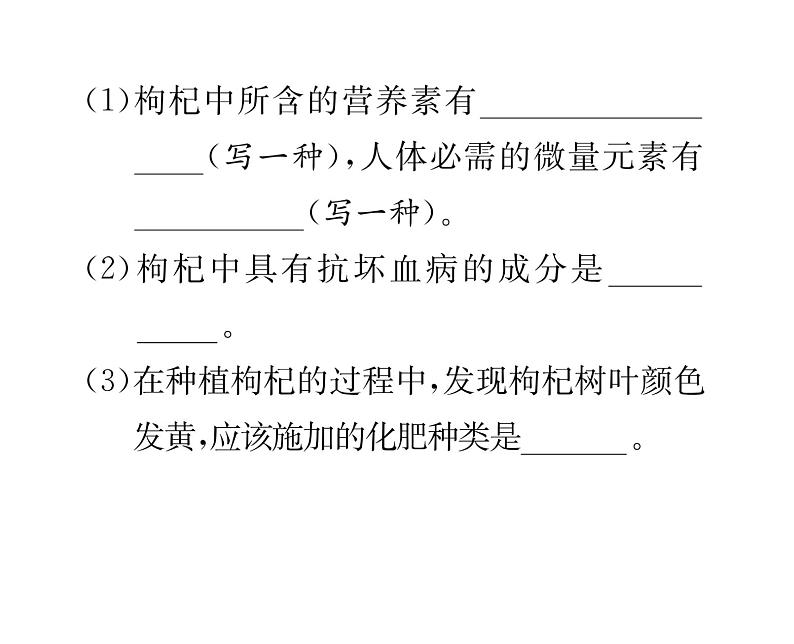 科粤版九年级化学下册第九章整合与提升双休作业（7）课时训练课件PPT03