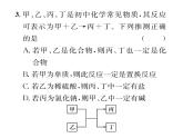 科粤版九年级化学下册专题复习6  物质的转化与推断课时训练课件PPT