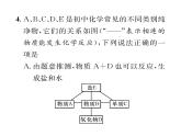 科粤版九年级化学下册专题复习6  物质的转化与推断课时训练课件PPT