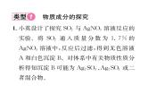 科粤版九年级化学下册专题复习10  实验探究题课时训练课件PPT
