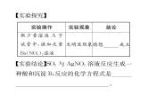 科粤版九年级化学下册专题复习10  实验探究题课时训练课件PPT