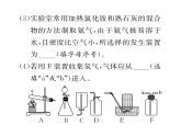 科粤版九年级化学下册专题复习9  教材基础实验课时训练课件PPT