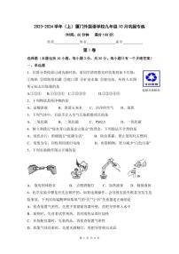 福建省厦门市外国语学校2023-2024学年九年级上学期10月月考化学试卷