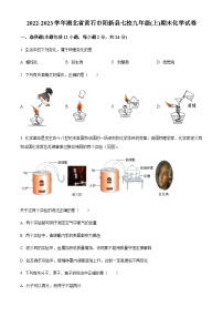 湖北省黄石市阳新县七校2022-2023学年九年级上学期期末联考化学试题