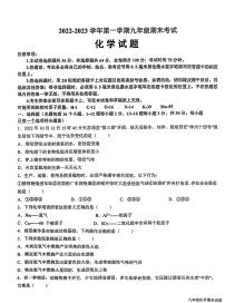 山东省德州市平原县2022-2023学年九年级上学期期末化学试题