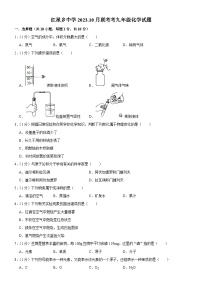 吉林省长春市榆树市部分学校2023-2024学年九年级上学期10月月考化学试题