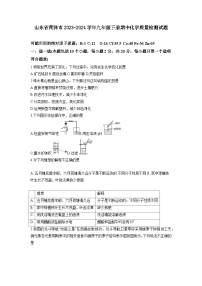 山东省菏泽市2023-2024学年九年级下册期中化学质量检测试题（含答案）