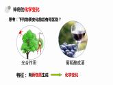 1.1化学真奇妙课件---2023--2024学年九年级化学鲁教版上册