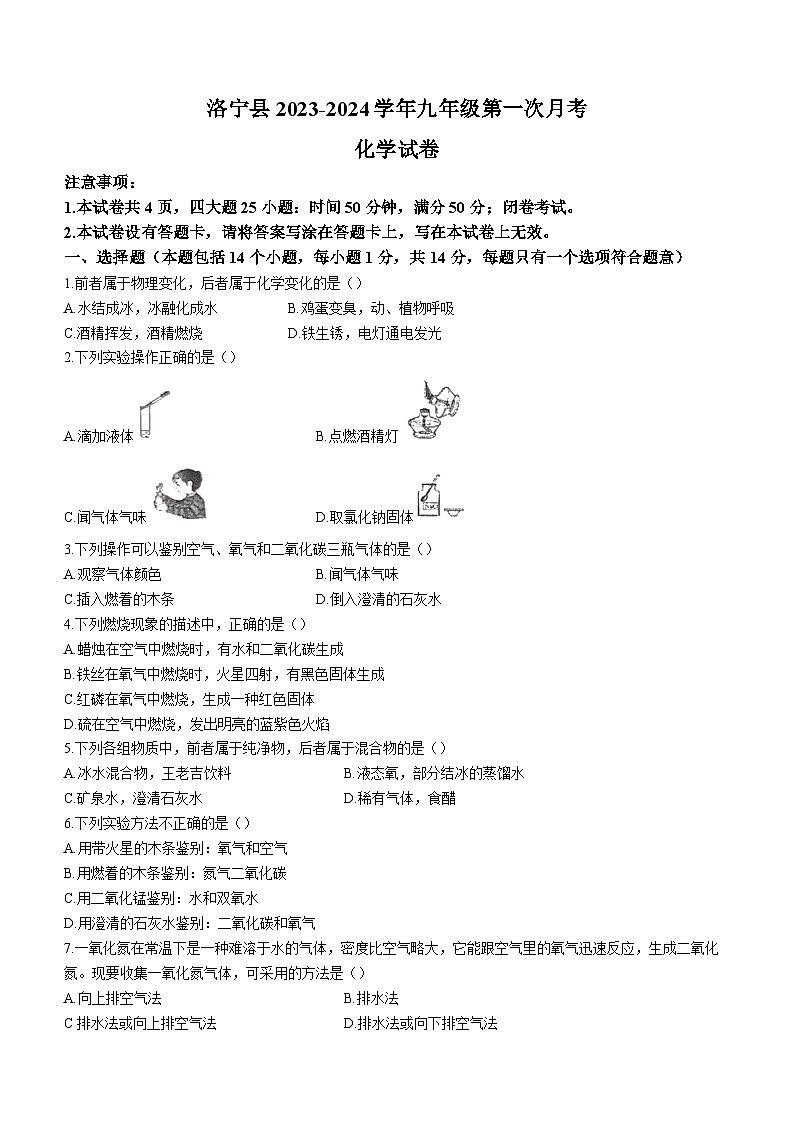 河南省洛阳市洛宁县2023-2024学年九年级上学期10月月考化学试题第1页