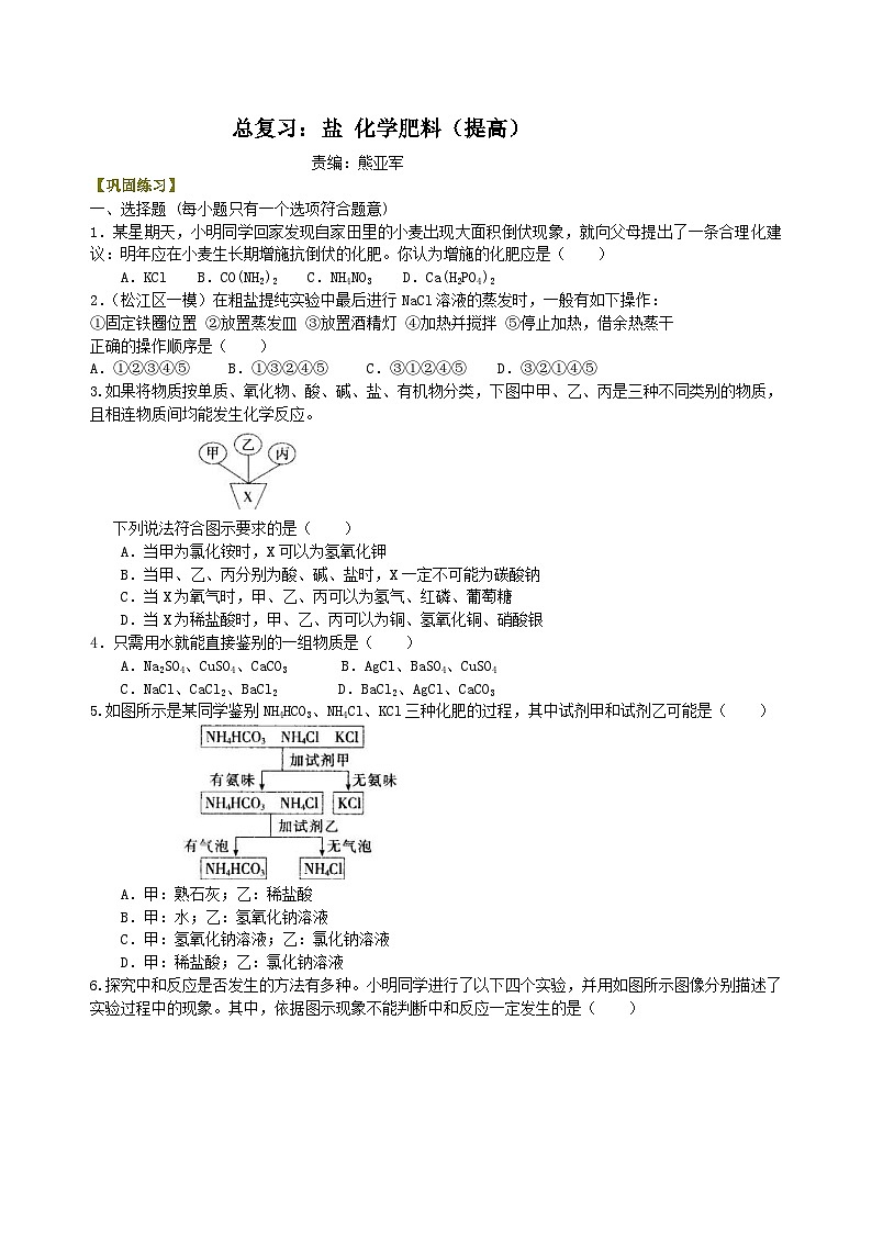中考化学一轮复习：盐 化学肥料（提高） 巩固练习（含解析）第1页