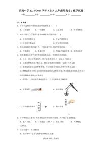 福建省莆田市荔城区黄石镇沙堤初级中学2023-2024学年九年级上学期阶段考（三）化学试题