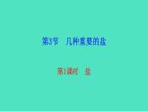 7.3.1 鹽課件 2023-2024 滬教版 化學(xué) 九年級(jí)下冊(cè)