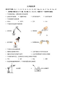 精品解析：河南省郑州市2021-2022学年九年级上学期期末化学试题