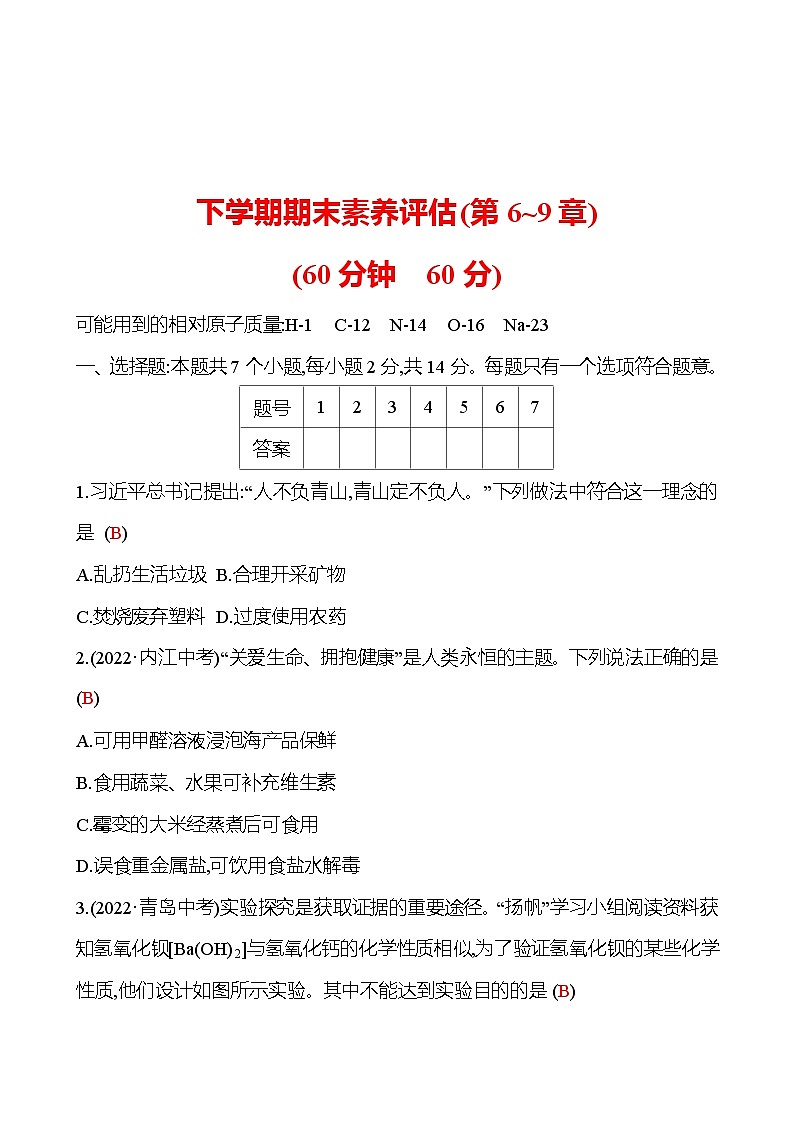 下学期期末素养评估(第6~9章) 试卷（教师版） 2023-2024 沪教版 化学 九年级下册第1页