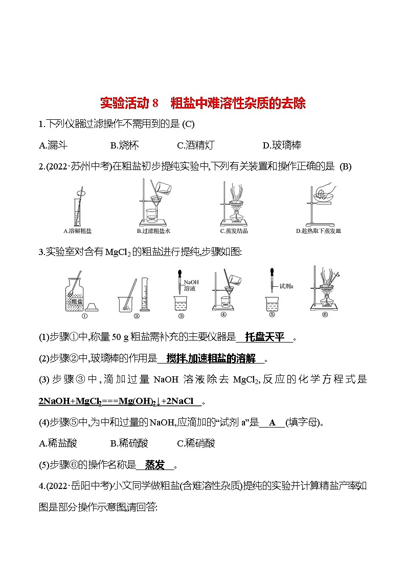 实验活动8　粗盐中难溶性杂质的去除 试卷2023-2024人教版 九年级化学01