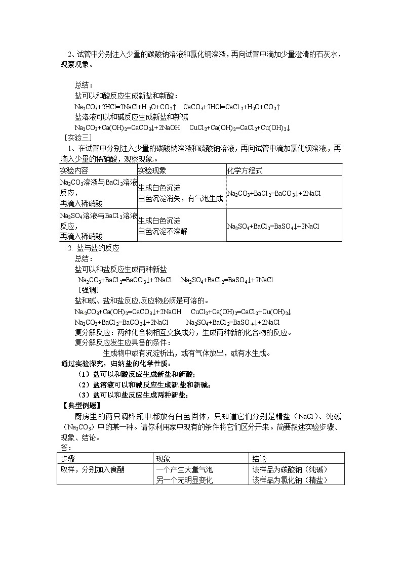 人教版化学 中考专题复习教案及习题 常见的盐第2页