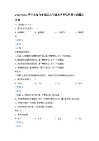 2020-2021学年上海市普陀区九年级上学期化学期中试题及答案