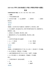 2020-2021学年上海市杨浦区九年级上学期化学期中试题及答案