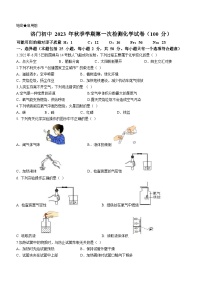 甘肃省天水市武山县洛门初中联考2023-2024学年九年级上学期期中化学试题(无答案)