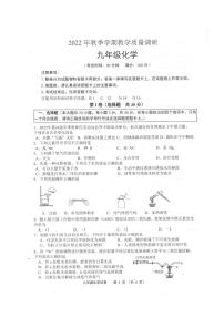 广西壮族自治区来宾市2022-2023学年九年级上学期期末化学试题（图片版无答案）