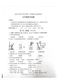 山东省泰安市宁阳县2022-2023学年九年级上学期期末化学试题