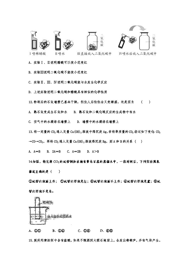 中考化学重点知识二轮专题练习21 二氧化碳和一氧化碳（含答案）第3页