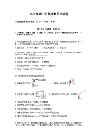 湖北省黄石市阳新县中庄初级中学2023-2024学年九年级上学期化学期中模拟卷