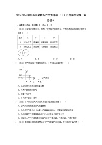 山东省临沂市第六中学2023-2024学年九年级上学期10月月考化学试卷