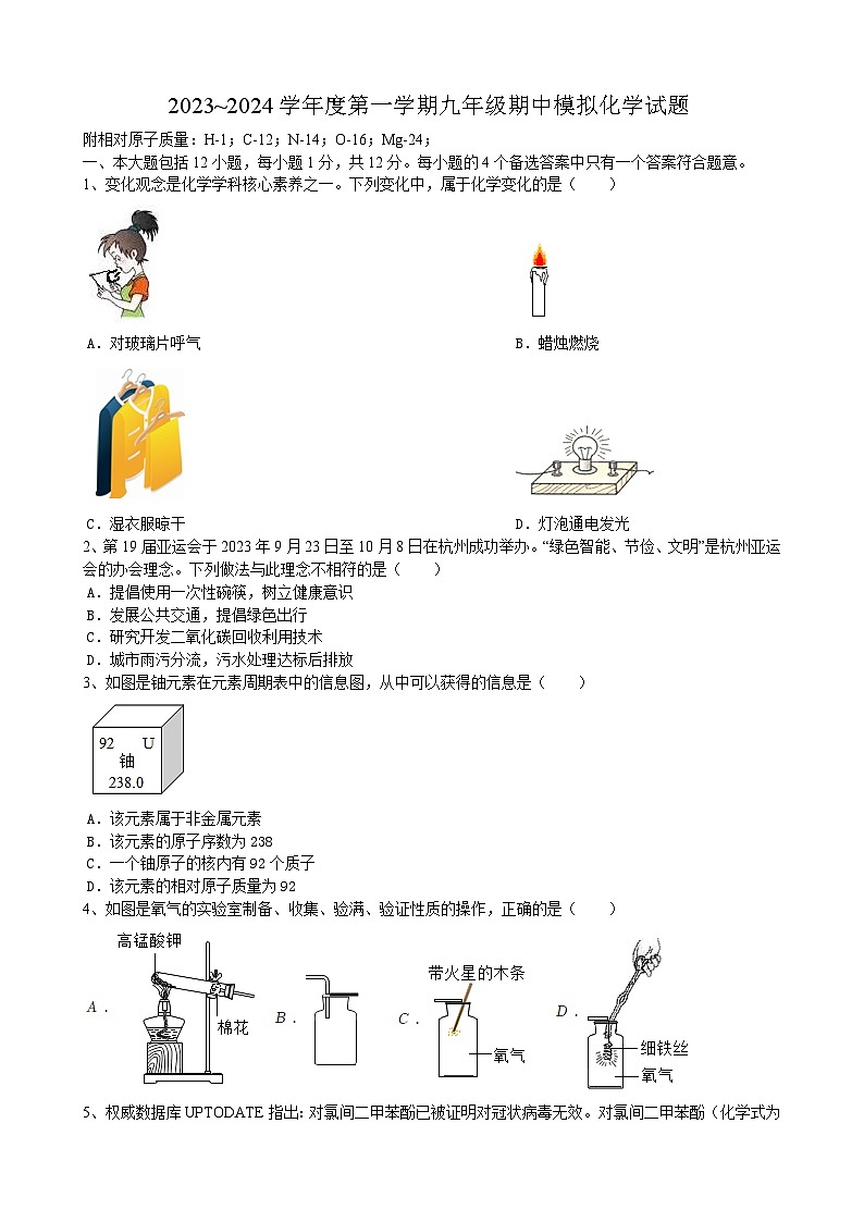 安徽省合肥市第五十五中学2023-2024学年九年级上学期期中模拟化学试题01