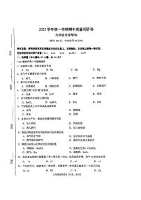 上海市杨浦区2023-2024学九年级上学期期中化学试题