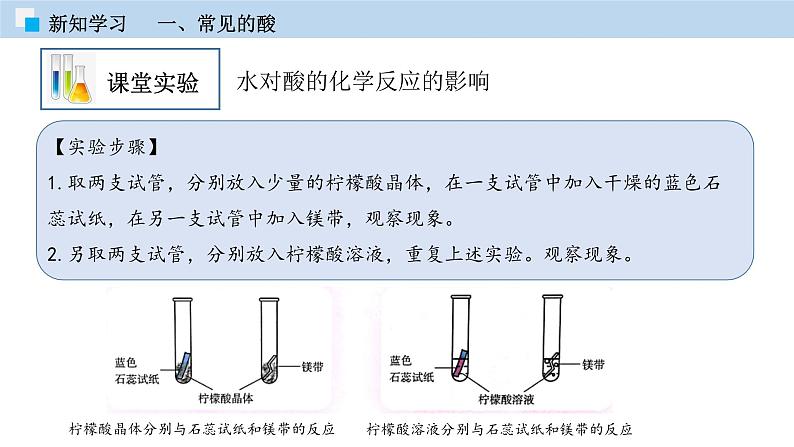 5.2酸和碱的性质研究（第一课时）（课件）—九年级化学沪教版第二学期（试用本）同步精品课堂（上海专用）05