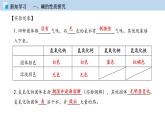 5.2酸和碱的性质研究（第二课时）（课件）—九年级化学沪教版第二学期（试用本）同步精品课堂（上海专用）