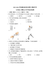 湖北省武汉市第三寄宿中学2023-2024学年九年级上学期10月月考化学试卷