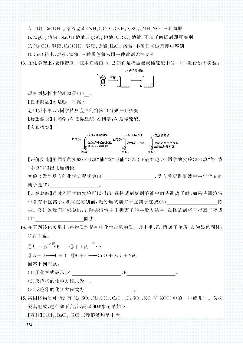 2023化学中考集训：专题十四 物质的检验与提纯（PDF原卷版）第3页