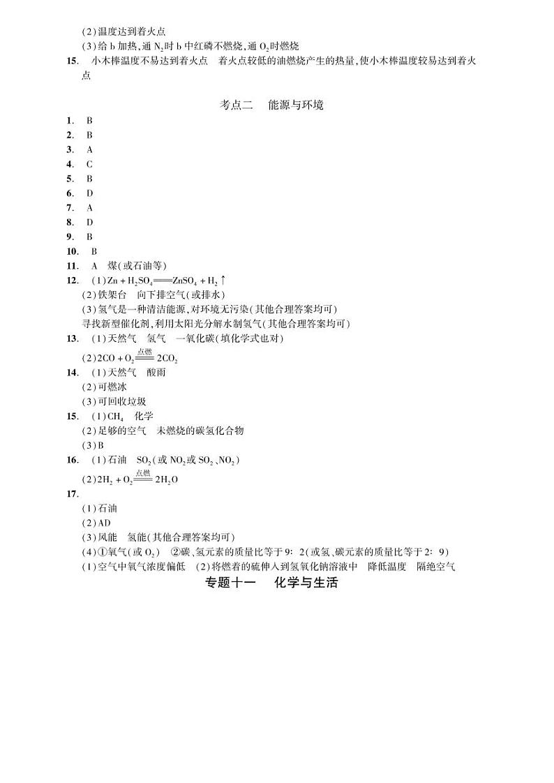 2023化学中考集训：专题十一 化学与生活（PDF答案版）第1页