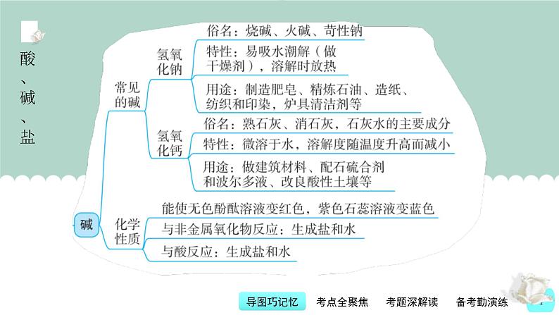 中考化学一轮复习基本过关练习课件第9讲 常见酸、碱、盐（含解析）04