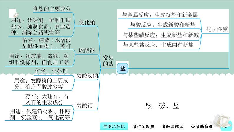 中考化学一轮复习基本过关练习课件第9讲 常见酸、碱、盐（含解析）05